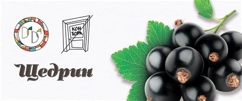 Смородина из Бочки - Контора - Untappd