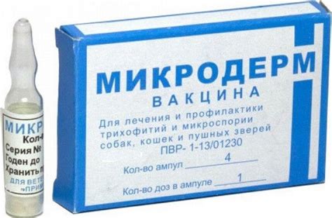 Обзор лучших вакцин для кошек на 2025 год.