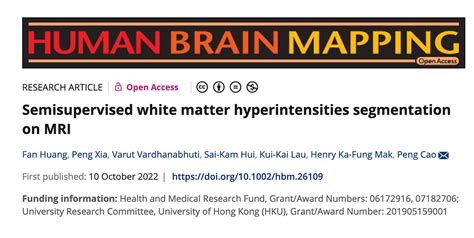 Human Brain Mapping Semisupervised White Matter Hyperintensities