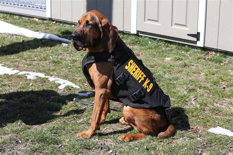 K9 Holder Receives Body Armor Nyack Ny Patch