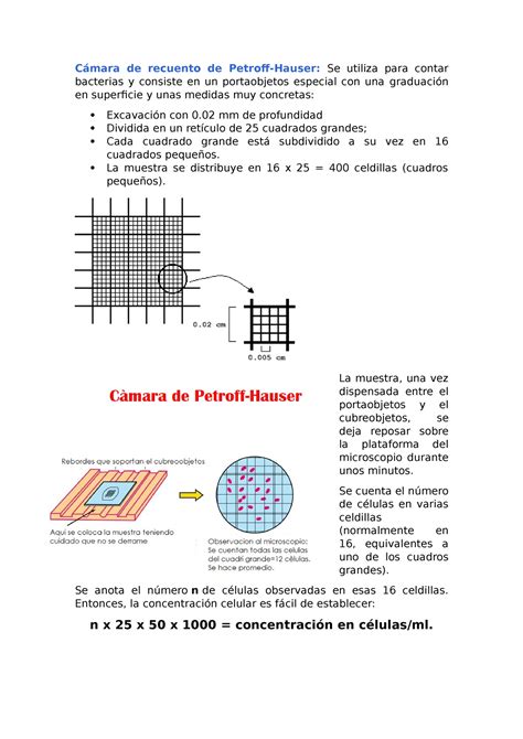 Cámara de recuento de Petroff Exposicion Cámara de recuento de