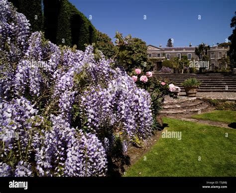 Mount Stewart, Co. Down, Northern Ireland Stock Photo - Alamy