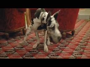 THE PERFUME OF YVONNE NUDE SCENES AZNude