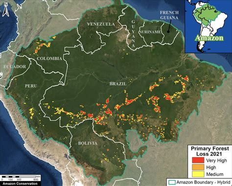 Brazil Leads Amazon In Forest Loss This Year Indigenous And Protected