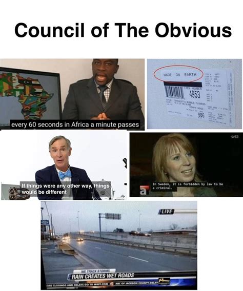 isnt  obvious meme  artofit