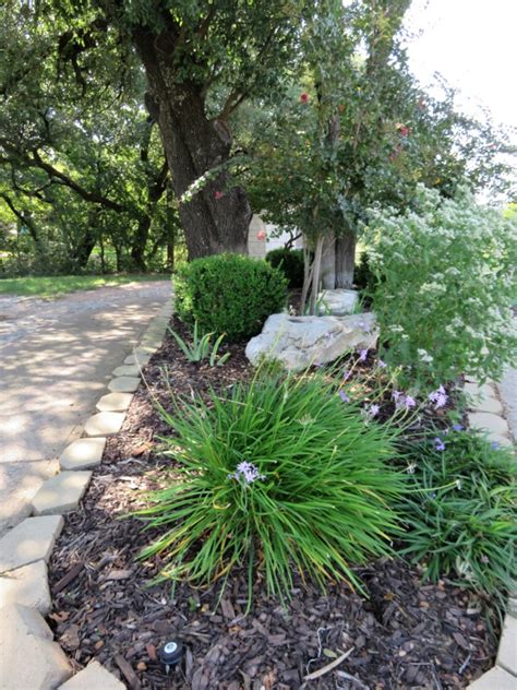 Xeriscape Design Ideas - Gardening Know How