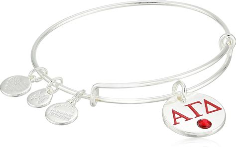 Amazon Alex And Ani Womens Color Infusion Alpha Gamma Delta II