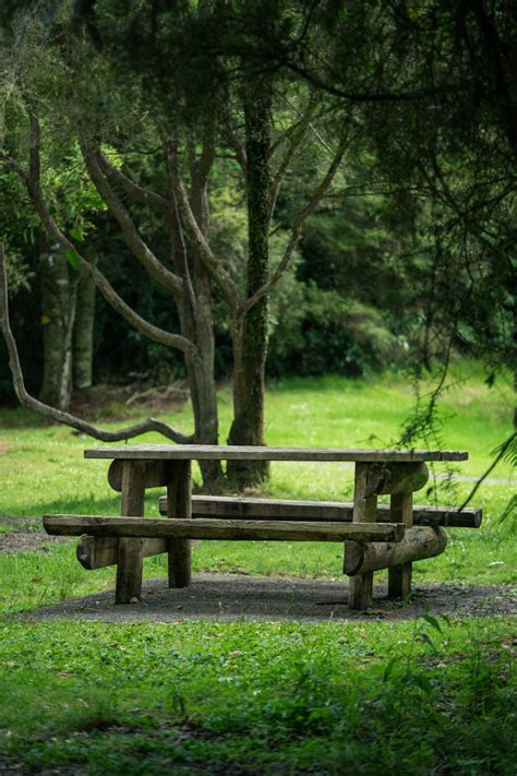 trending       trending stock