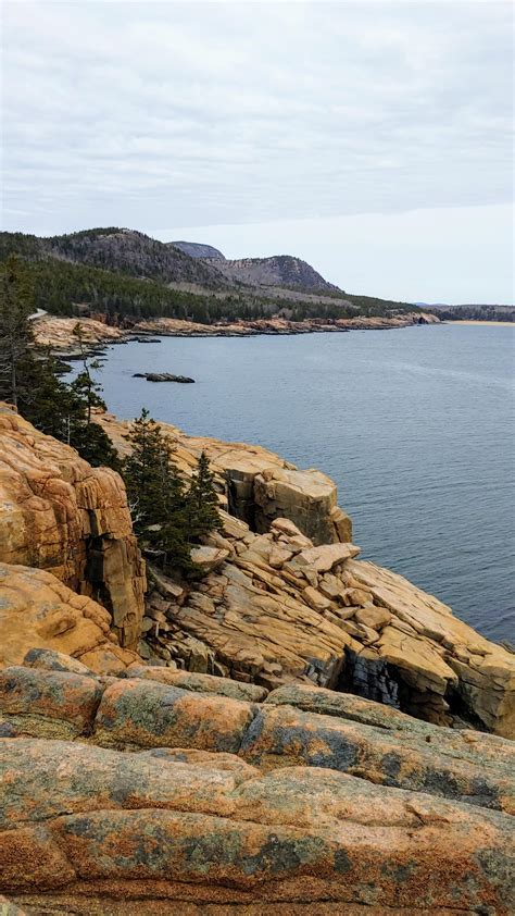 The view from Otter Cliffs, Acadia National Park : r/Maine
