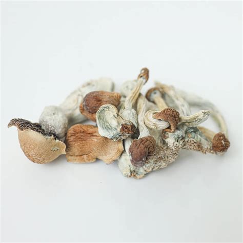 Jedi Mind Fuck Magic Mushroom Delivery Toronto