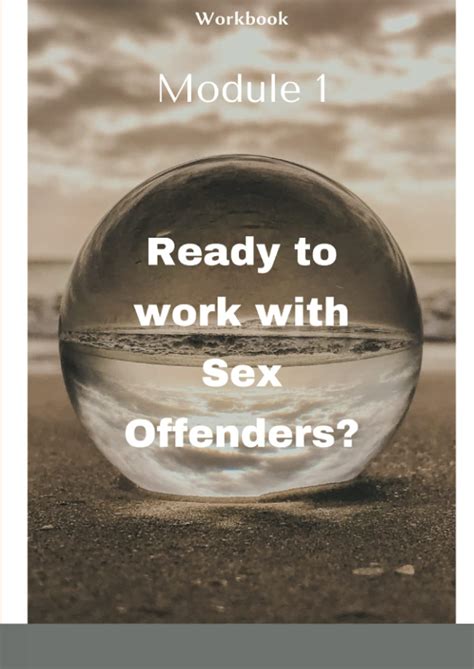 Ready To Work With Sex Offenders Vcpa Workbook I Hutsebaut Carine Amazon