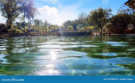 Hot Springs In Rio Quente City Brazil Stock Photo Image Of Tree Stream