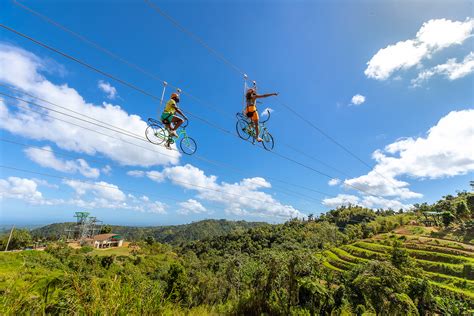 Toro Bikes Adventure Zipline Less