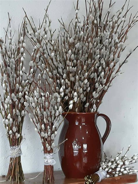 Willow Pussy Bouquet Natural Pussy Spring Bunch Willow Branches Real Willow Pussy Bunch Vase