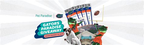 Pet Paradise Bonita Springs Bonita Springs Fl