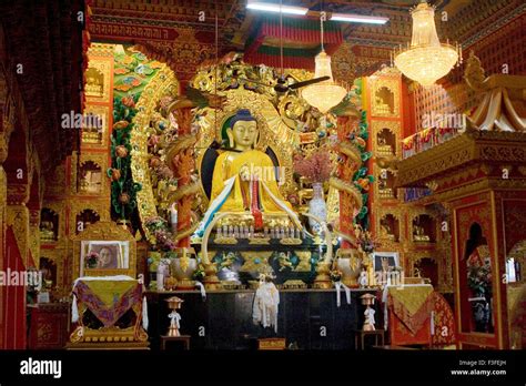 Estatua De Buda En Estilo Tibetano Vidya Vajra Templo Sarnath En