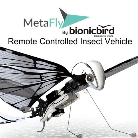 MetaFly Standard Kit By BionicBird High Tech Electronic Biomimetic And