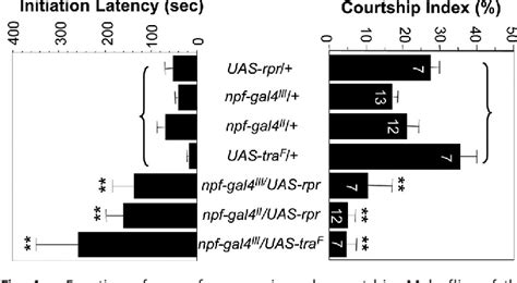 Figure From Sex And Clock Controlled Expression Of The Neuropeptide F Gene In Drosophila