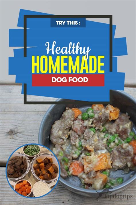 Healthy Homemade Dog Food Recipe and Video Instructions