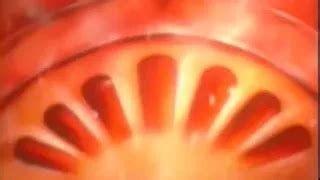 Nude Photo Album Asian Asian Porn Xhamster