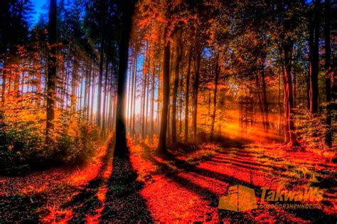 Кашф аш-шубухат » Такуа - Богобоязненность