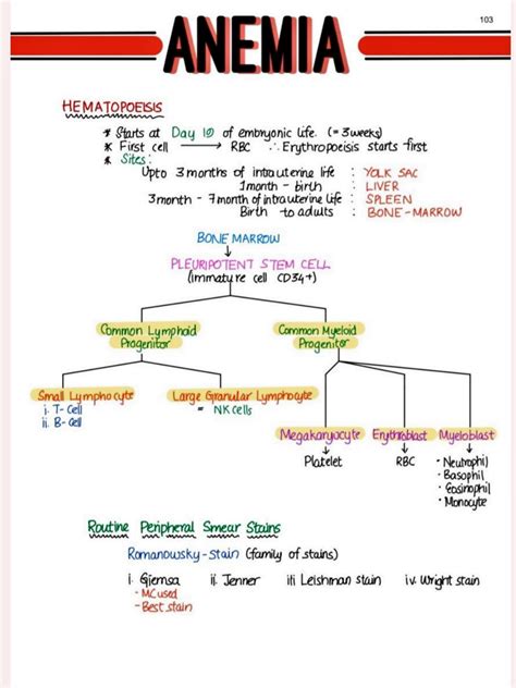 SOLUTION Anemia Pathology Studypool