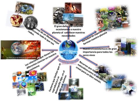 Salud Ambiental Actividades