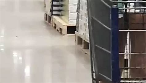 Pool Nipple Slip Wife In Bikini Big Nipples Xhamster