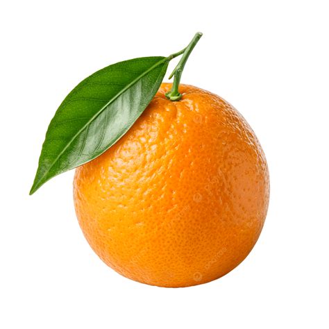 orange  leaf  orange citrus leaf fresh fruit png