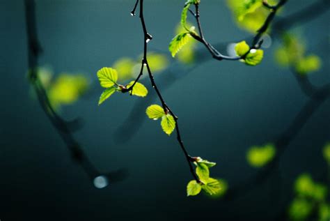 Fresh nature by Andezigi on DeviantArt