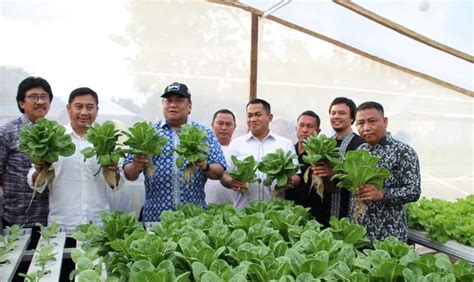 Bersama Bupati Bonebol Rahmat Gobel Canangkan Kebun Hidroponik