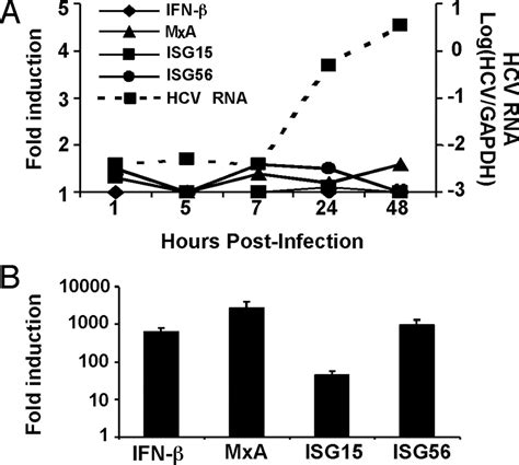 Inhibition Of Dsrna Induced Signaling In Hepatitis C Virus Infected