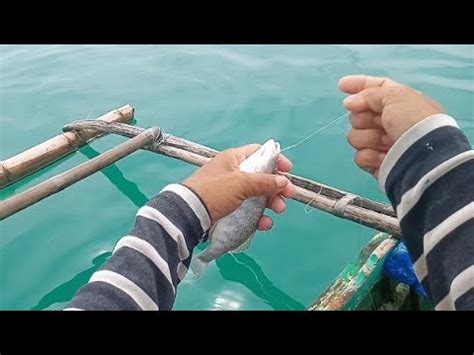 Traditional Handline Fishing YouTube