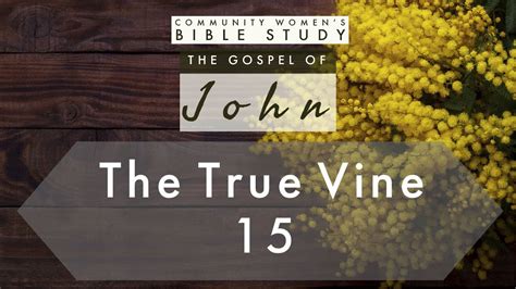 The True Vine John 15 Womens Bible Study Youtube