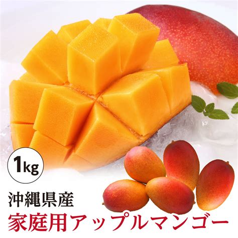 沖縄県産 アップルマンゴー 家庭用 約1kg（2玉～4玉）