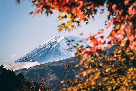 Sacred Symbol Of The Japan - Mount Fuji