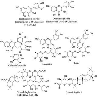 Overview Of Calendula Plant Some Constituents And Reported