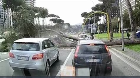 Paura A Roma Albero Cade Su Due Auto Un Ferito Imola Oggi