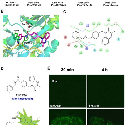 Discovery Of Structurally Diverse Nampt Inhibitors By Hts In A Chemical