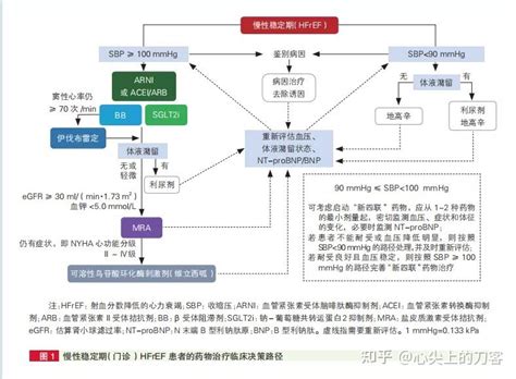 中国心衰新四联药物应用共识尽早安全小剂量联合分步和个体化 知乎