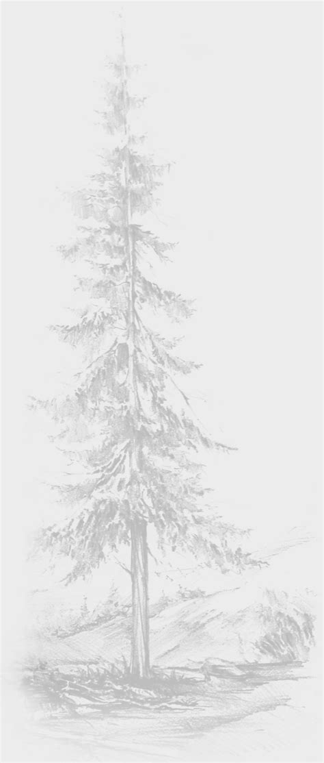 Каталог - Сильвана