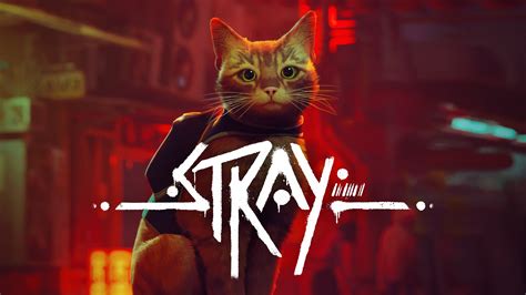 Stray Videojuego Portada Fondo De Pantalla 4k HD ID 11201