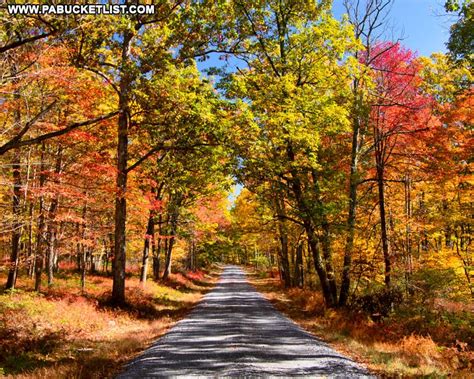 The 8 Best Scenic Overlooks in the Bald Eagle State Forest