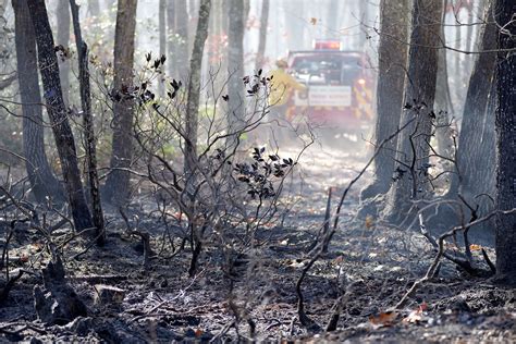 Ocean County fire: Major wildfires in recent history