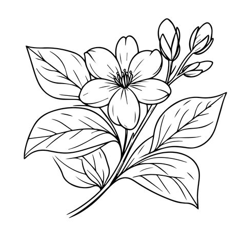 Flores Del Jazmin 4