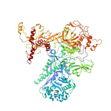 Rcsb Pdb Hih Cryo Em Structure Of Mycobacterium Tuberculosis