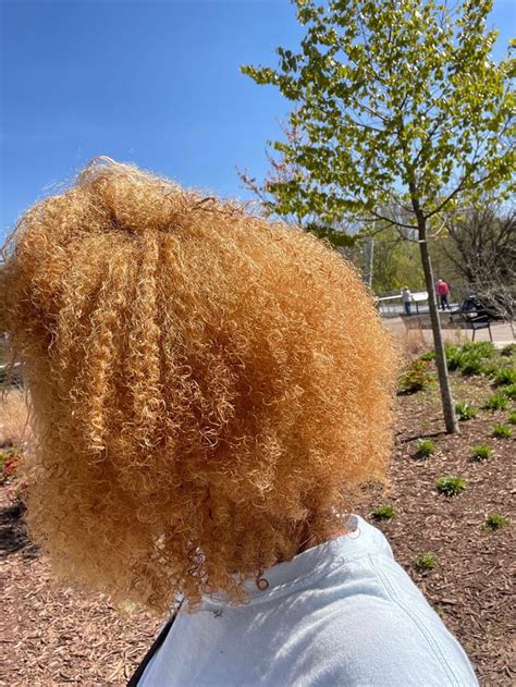 Pin By Mya Casey On Aesthetically Pleasing In Blonde Natural Hair Natural Hair Styles