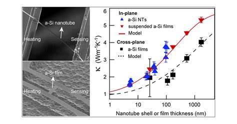 Unusually High And Anisotropic Thermal Conductivity In Amorphous