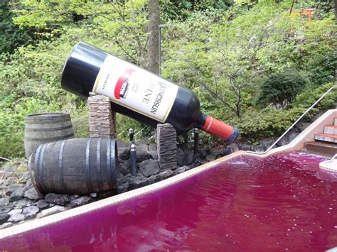 Hot Spring Resort Yunessun Hakone Kanagawa Japan Travel