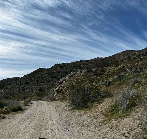 Grapevine Canyon Trail California Gps Trail Map Conditions